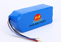 High capacity lithium ion electric bike battery 48V 20AH for 500W Motor with BMS