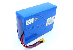 HHS 48V 30Ah 48Ah Lithium ion Battery for 500W 800W 1000W Motor with 30A BMS