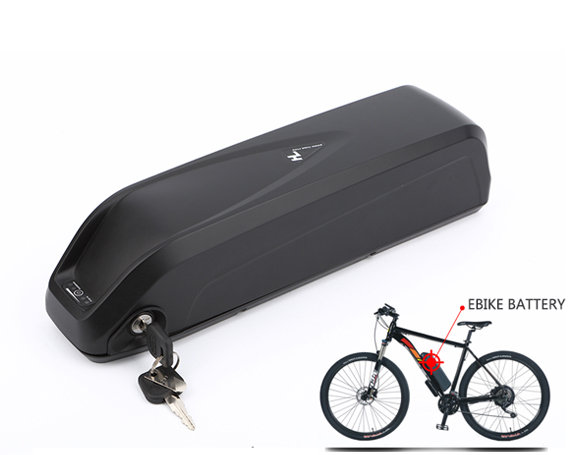 powerful 14ah 48v 1000w electric bike battery Sanyo 18650 lithium ion 48 volt battery with plastic case