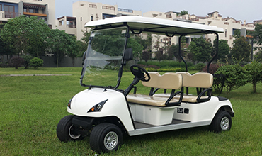 Electric Golf Cart